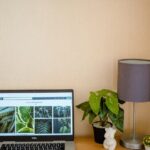 Tips for Creating a Relaxing Home Workspace to Boost Productivity